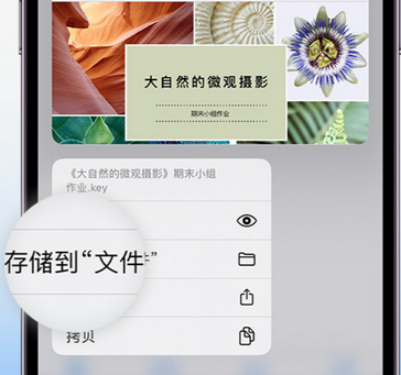 高场办事处apple维修中心分享iPhone文件应用中存储和找到下载文件