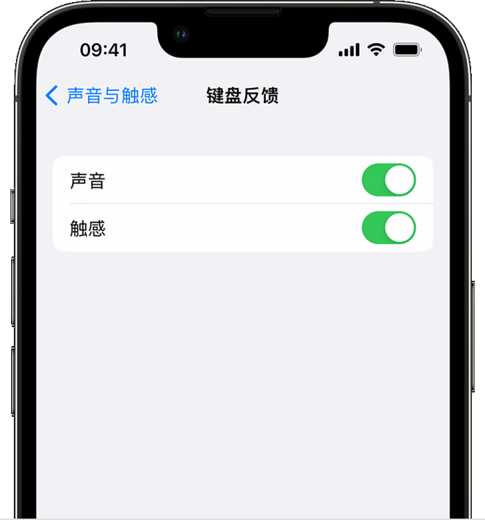 高场办事处苹果14维修店分享如何在 iPhone 14 机型中使用触感键盘 