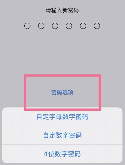 高场办事处苹果14维修分享iPhone 14plus设置密码的方法 